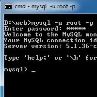 Using MySQL with the Command Line Client